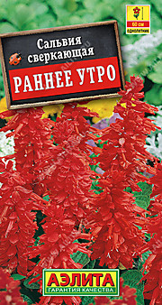 Раннее утро