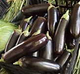 Баклажан Фарама F1