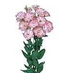 Эустома Мариачи пинк пикоти