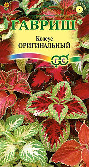 Колеус Оригинальный - смесь