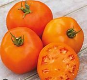 Томат Апельсин