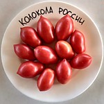 Томат Колокола России