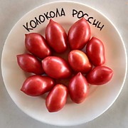 Томат Колокола России