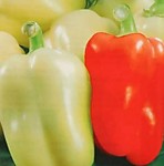 Перец сладкий Джейд F1