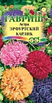 Эрфуртский карлик