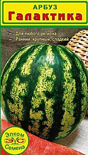 Галактика